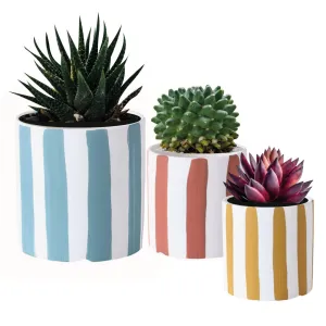 Artistic Playful Planters Set of 3