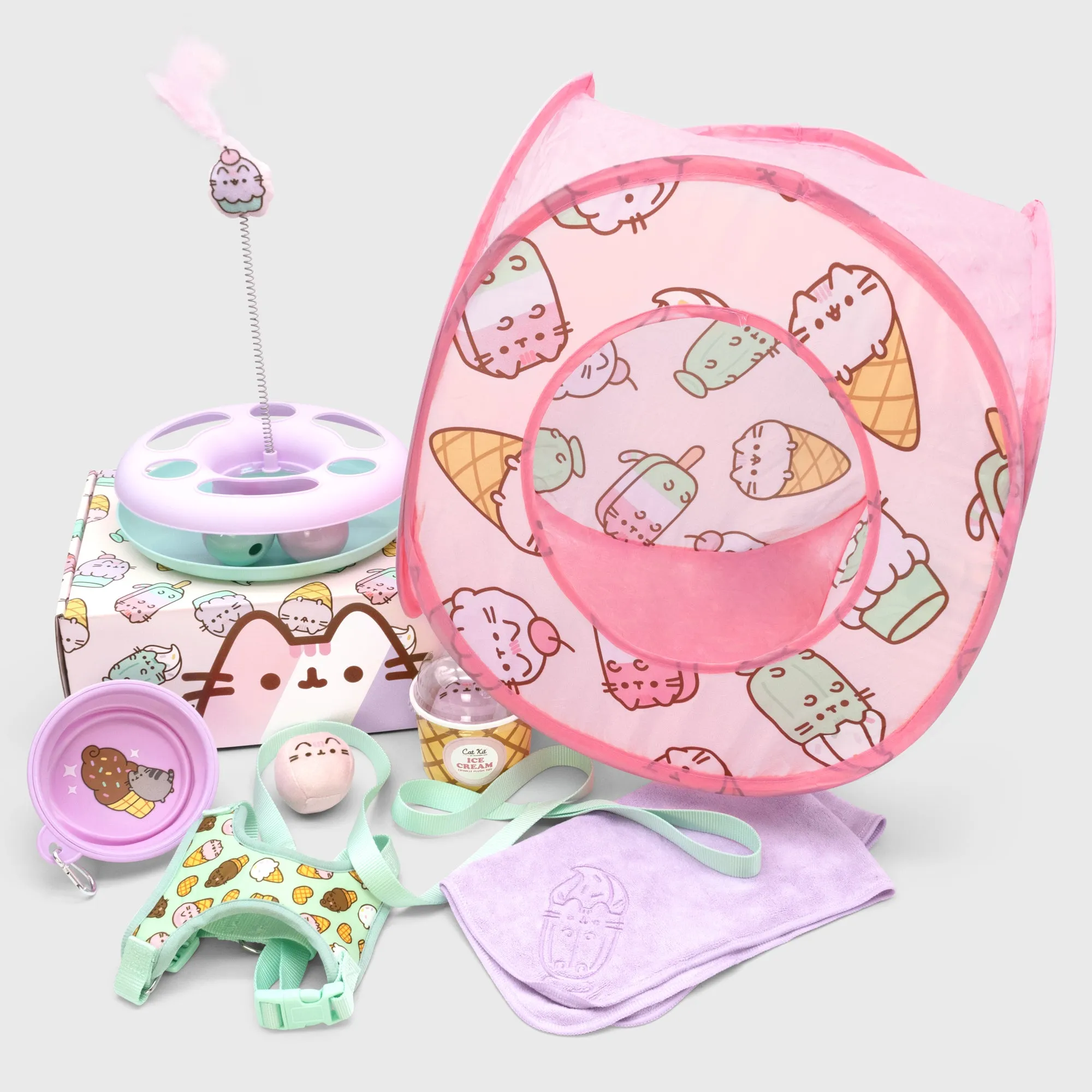 Cat Kit by Pusheen Box