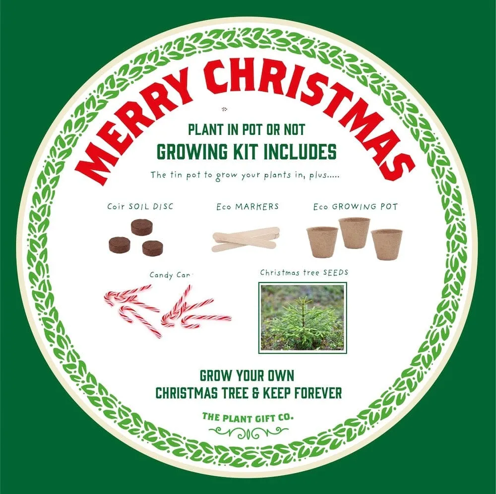 Christmas Tree Growing Kit by The Plant Gift Co.