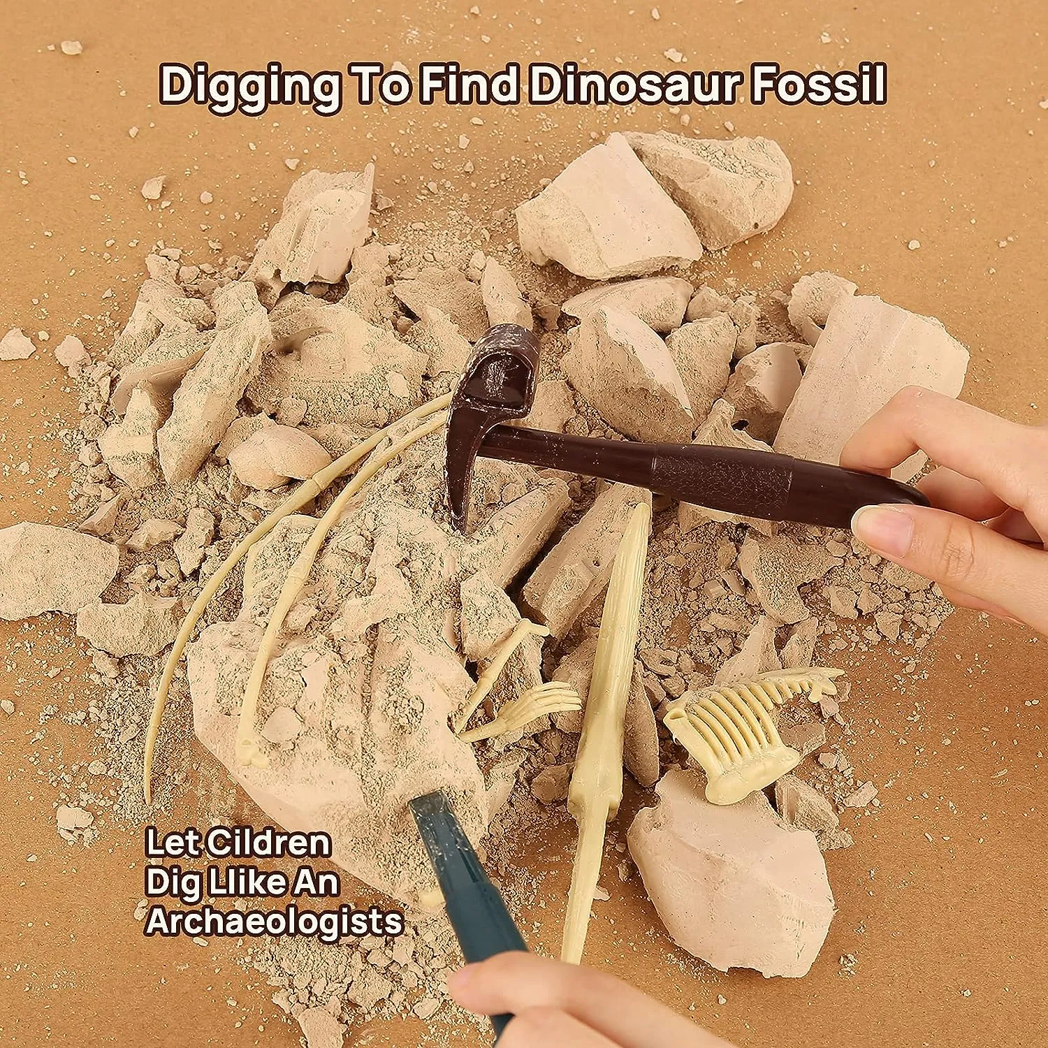 Dinosaur Excavation Model Kit