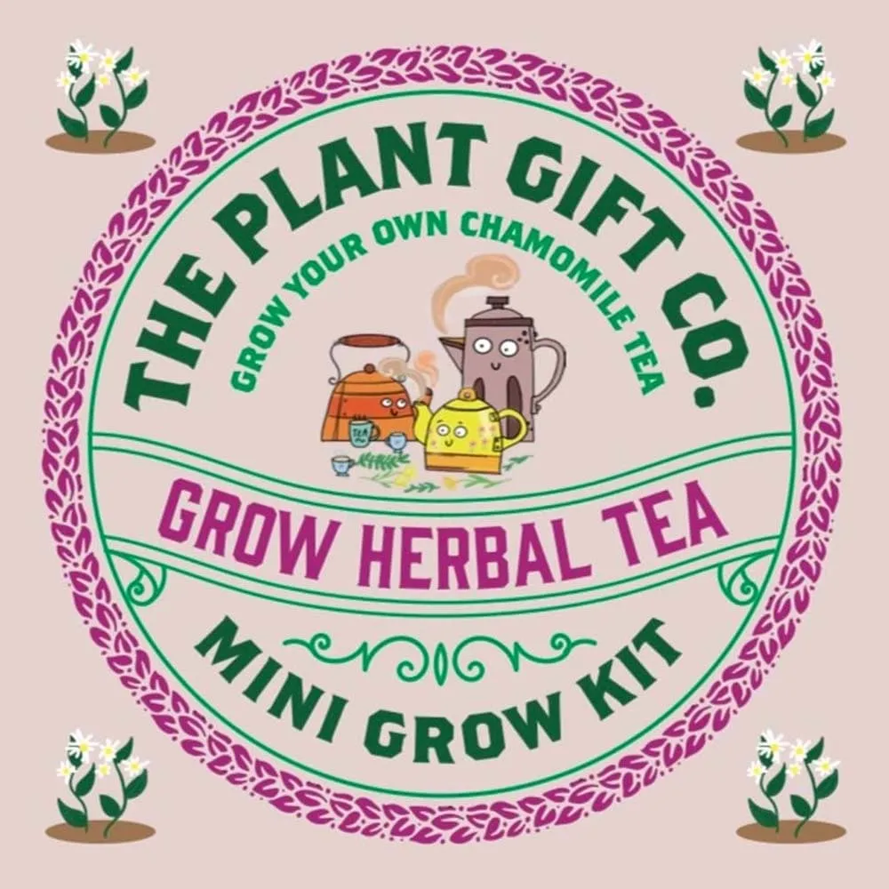 Herbal Tea Mini Grow Kit by The Plant Gift Co.