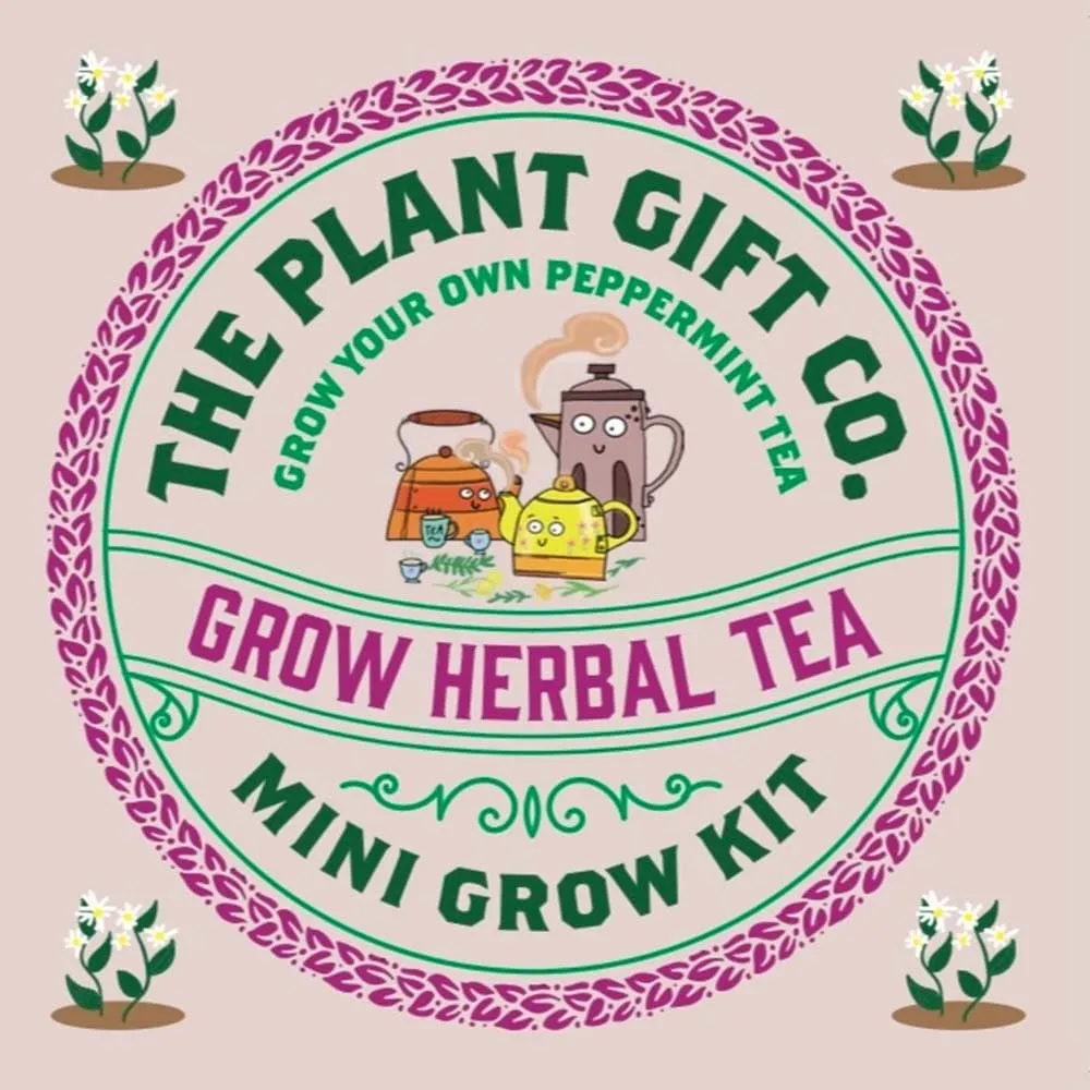 Herbal Tea Mini Grow Kit by The Plant Gift Co.