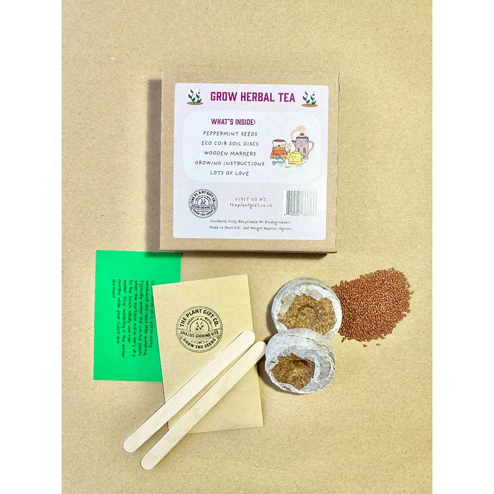 Herbal Tea Mini Grow Kit by The Plant Gift Co.