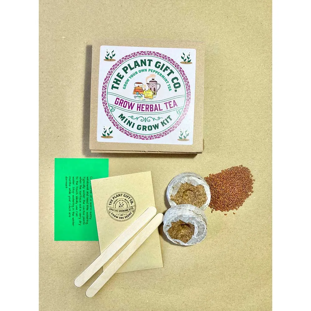 Herbal Tea Mini Grow Kit by The Plant Gift Co.