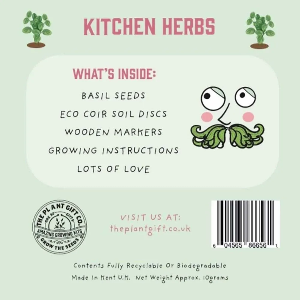 Kitchen Herbs Mini Grow Kit by The Plant Gift Co.