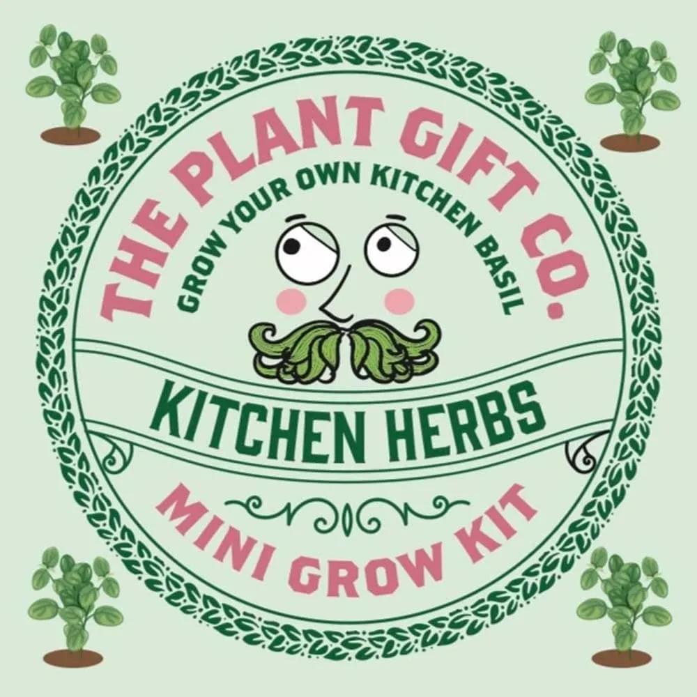 Kitchen Herbs Mini Grow Kit by The Plant Gift Co.