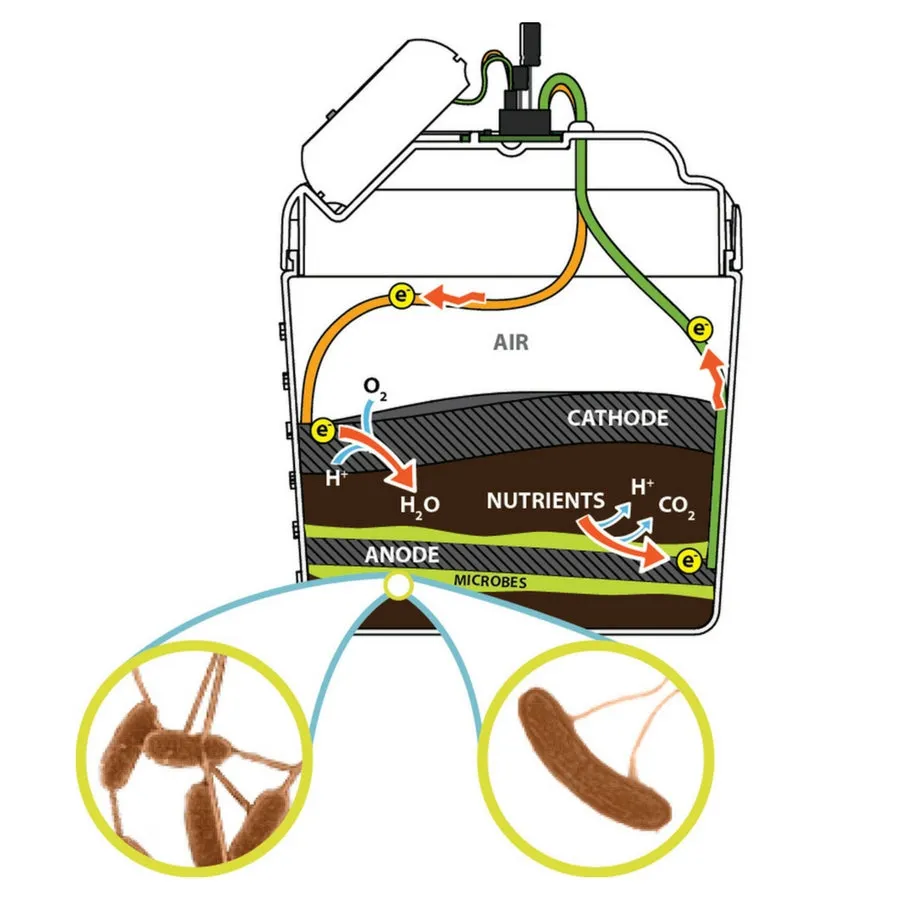 Magical Microbes - MudWatt Classic Kit