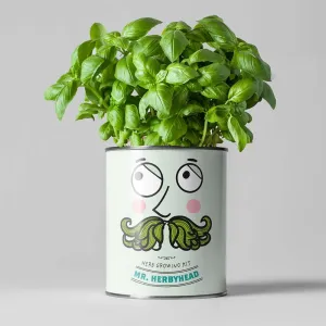 Mr Herbyhead Herb Growing Kit by The Plant Gift Co.