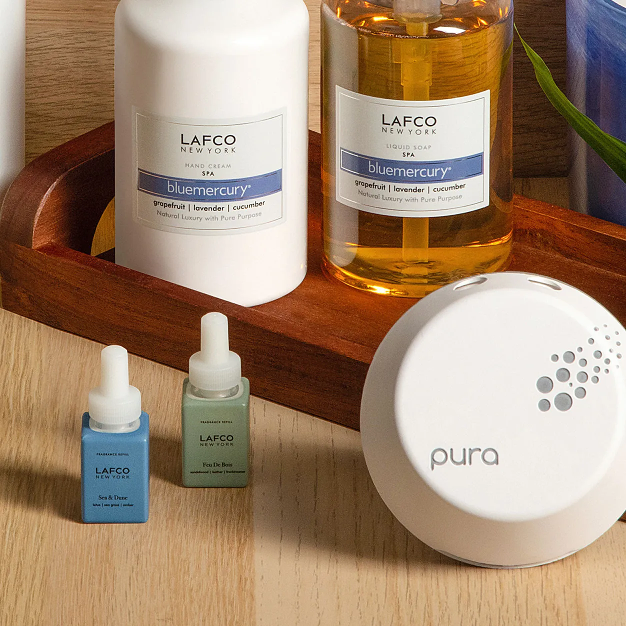 Pura Smart Home Fragrance Diffuser With Sea and Dune and Feu de Bois Fragrance Set