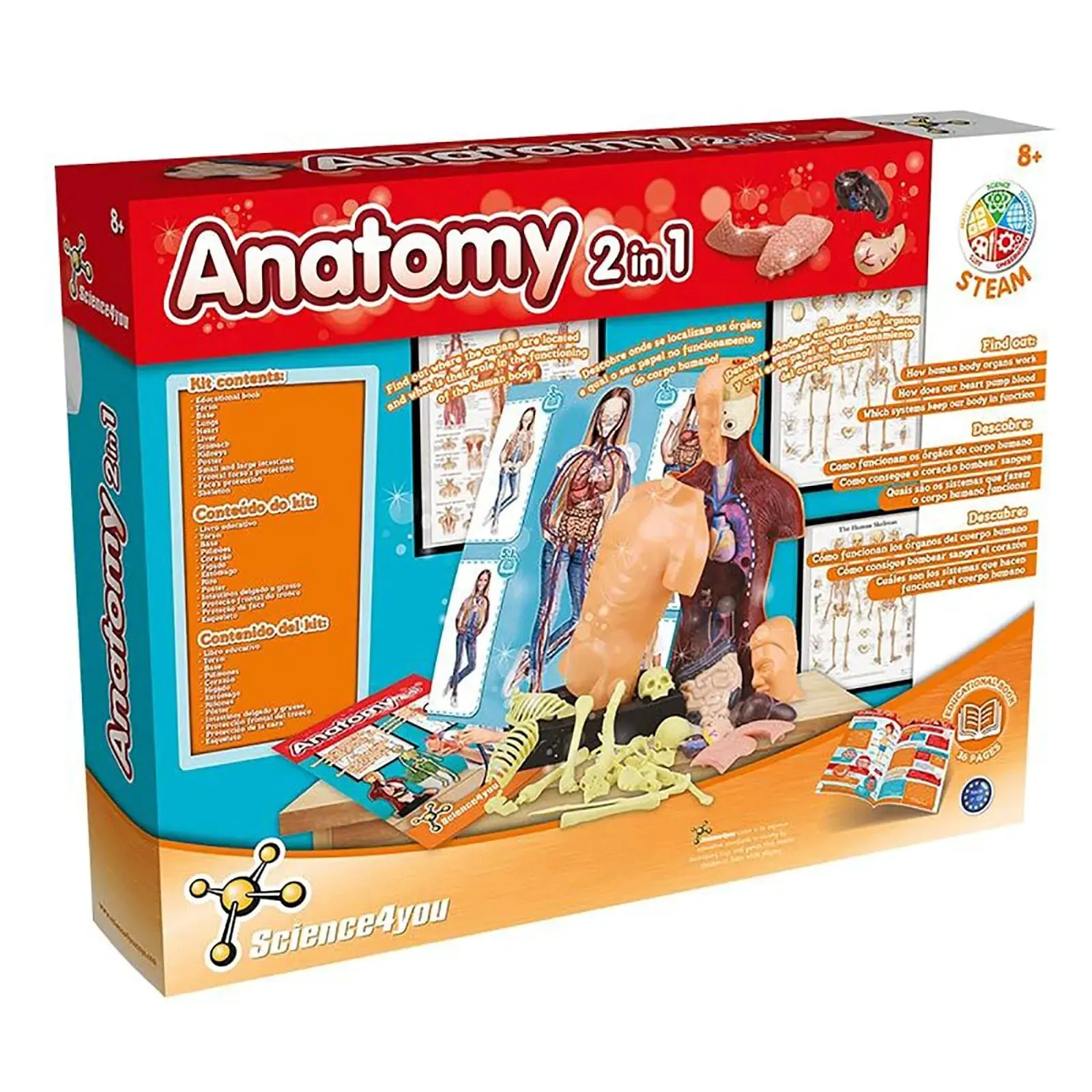 Science4You Anatomy 2 in 1 Discovery Kit Skeleton Torso Age 8 