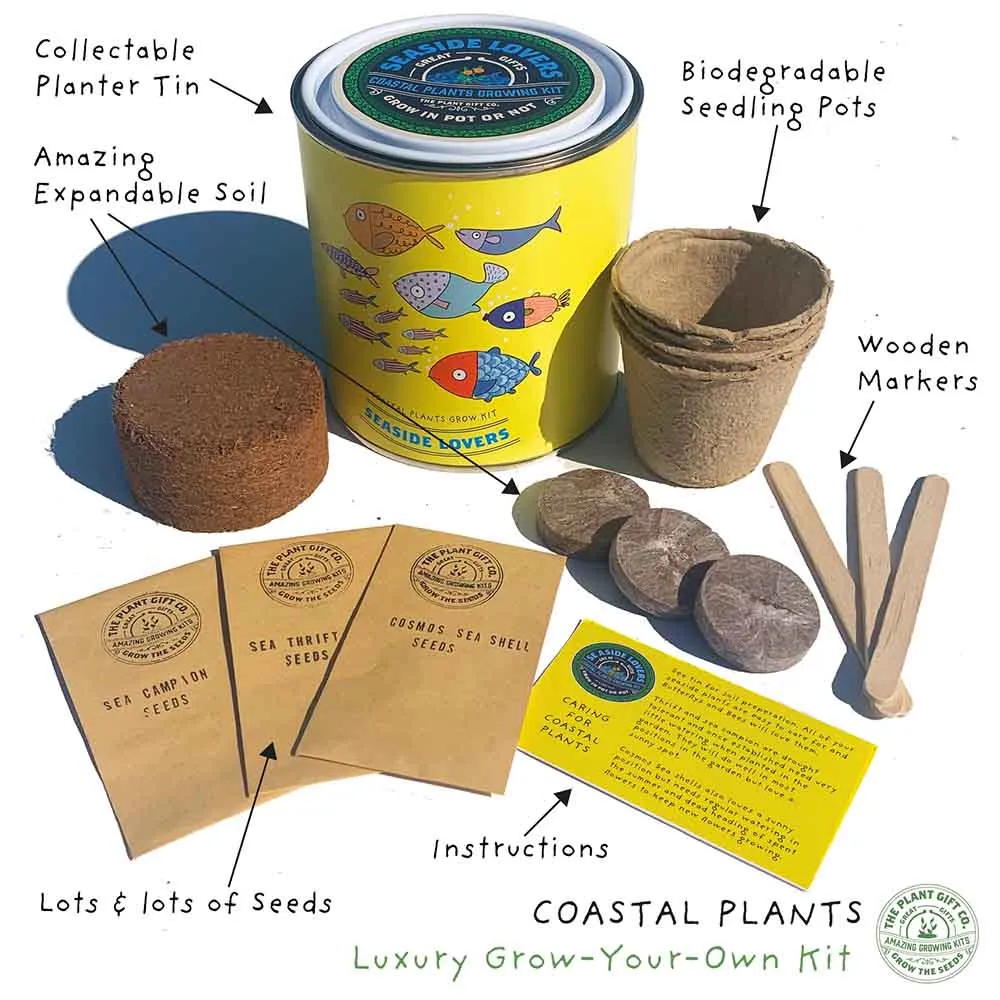 Seaside Lovers Coastal Plants Growing Kit by The Plant Gift Co.