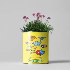 Seaside Lovers Coastal Plants Growing Kit by The Plant Gift Co.