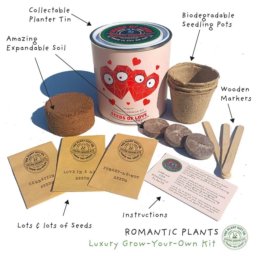 Seeds of Love Growing Kit by The Plant Gift Co.